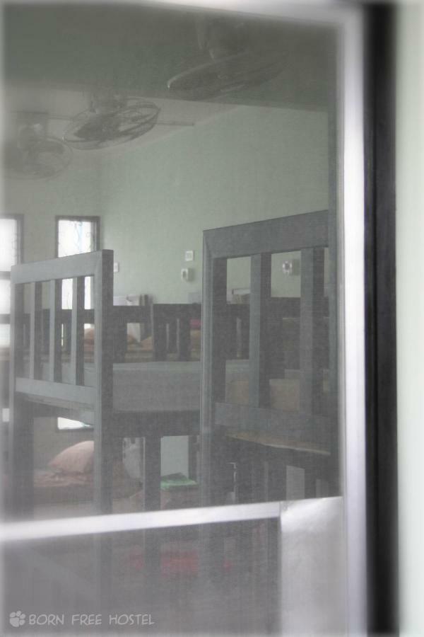 Born Free Hostel Bangkok Eksteriør bilde